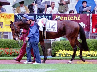 2001/05/27 東京04R
