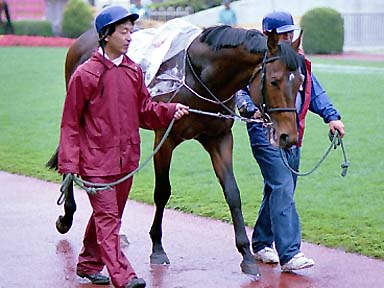 2001/05/27 東京04R