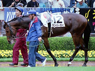 2001/05/27 東京04R