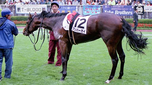 2001/05/27 東京04R