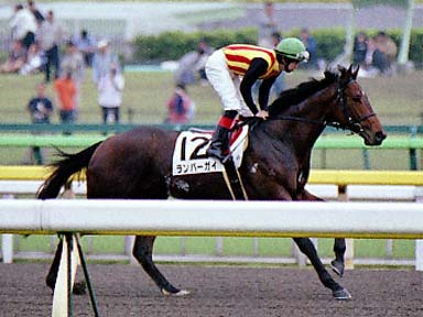 2001/05/27 東京04R