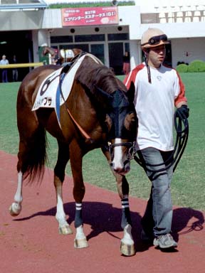 2003/10/04 ���R07R