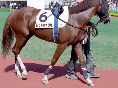 2003/10/04 ���R07R