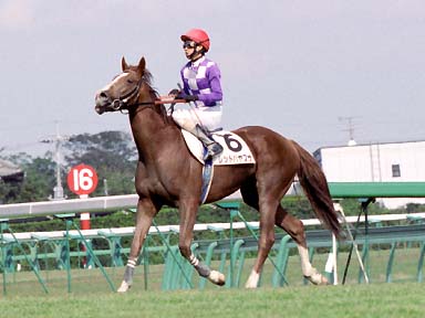 2003/10/04 ���R07R