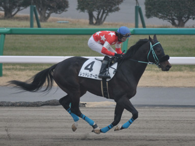 2014/01/25 中山08R
