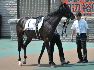2016/05/22 東京07R
