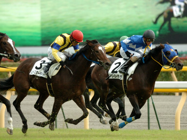 2006/10/14 東京08R