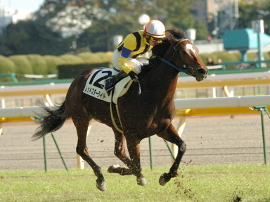 2006/11/12 東京08R