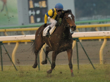 2007/02/17 東京12R