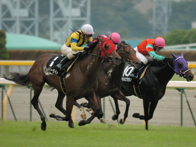 2007/10/08 東京10R