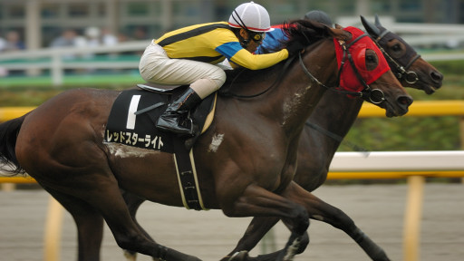 2007/10/08 東京10R