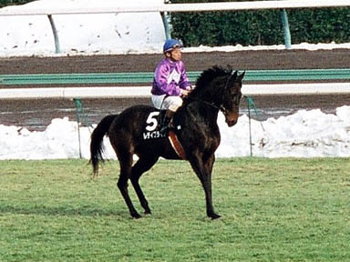 1998/01/10 中山09R