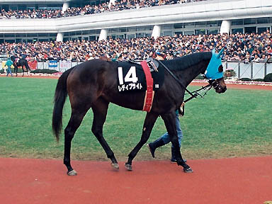 1998/01/17 中山09R
