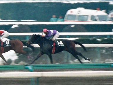 1998/01/17 中山09R