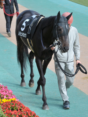 2015/10/31 東京10R