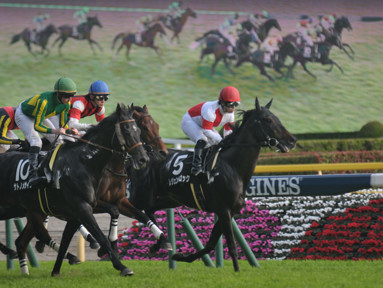 2015/10/31 東京10R