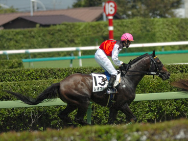 2007/09/08 R04R