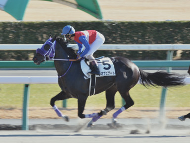 2016/01/09 中山04R