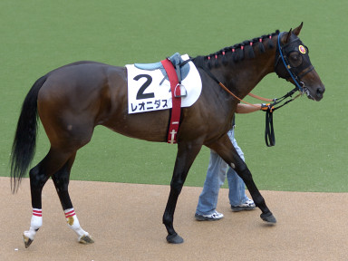 2004/06/12 東京07R