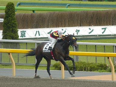 2004/06/12 東京07R