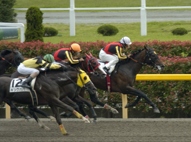 2004/06/12 東京07R