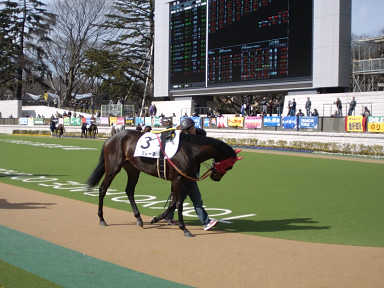 2004/02/07 東京07R
