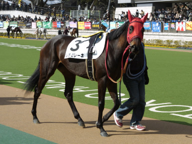 2004/02/07 東京07R