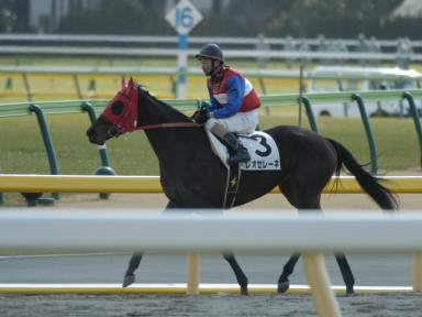 2004/02/07 東京07R