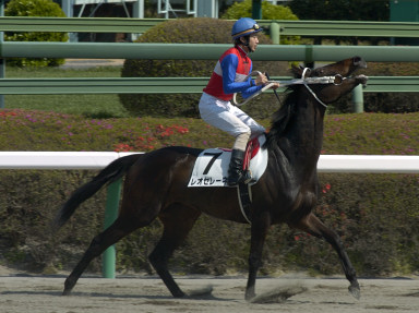 2004/04/10 中山08R