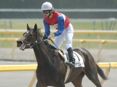 2004/05/02 東京07R