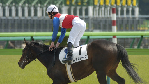 2004/05/02 東京07R