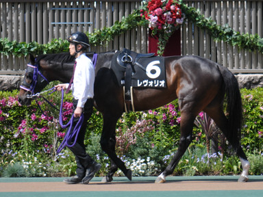 2023/04/23 東京09R