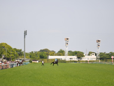 2023/04/23 東京09R