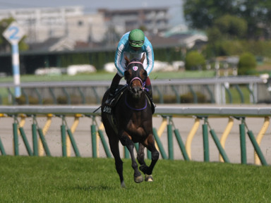2023/04/23 東京09R