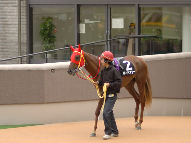 2004/11/14 東京09R