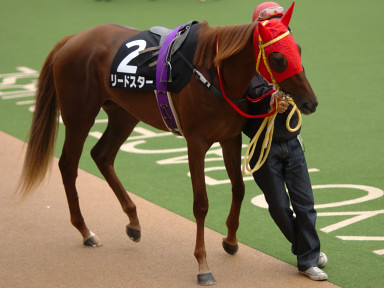 2004/11/14 東京09R