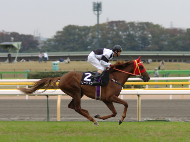 2004/11/14 東京09R