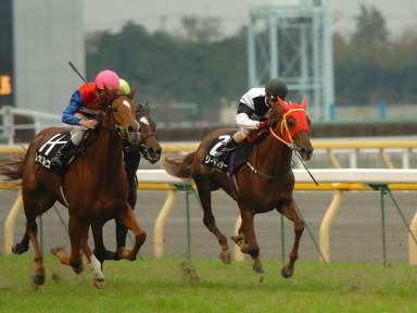2004/11/14 東京09R