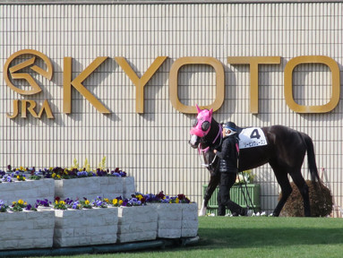 2020/01/26 京都08R