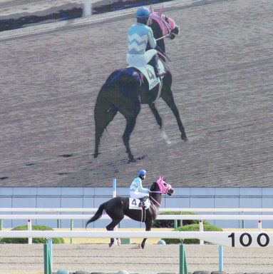 2020/01/26 京都08R