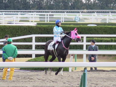 2020/01/26 京都08R