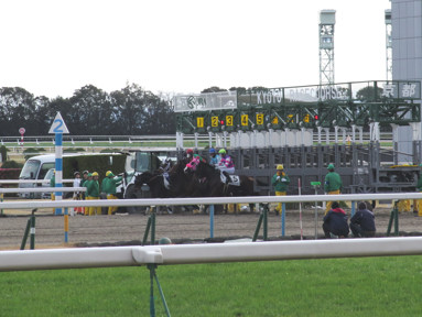 2020/01/26 京都08R