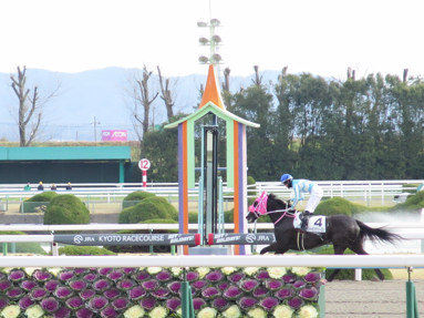 2020/01/26 京都08R