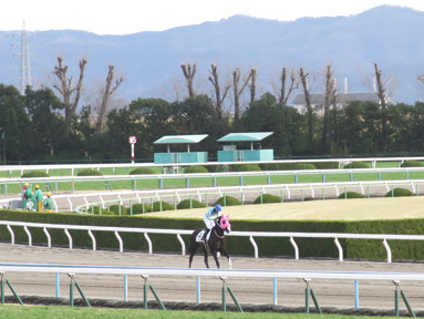 2020/01/26 京都08R
