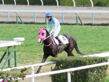 2020/01/26 京都08R