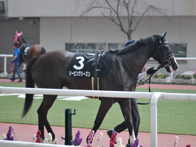 2022/03/12 阪神10R