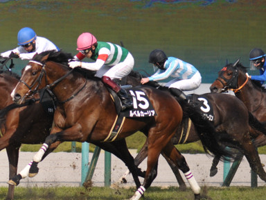 2022/03/12 阪神10R