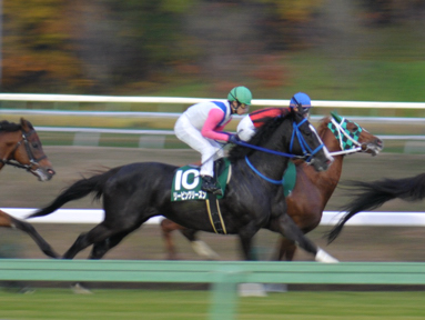2022/11/03 盛岡09R