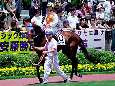 2001/06/03 東京06R