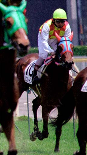 2001/06/03 東京06R